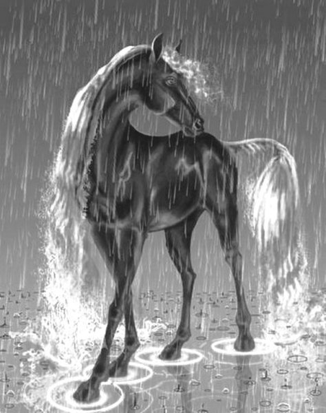 Лошадь под дождем