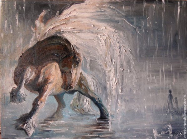 Лошадь под дождем