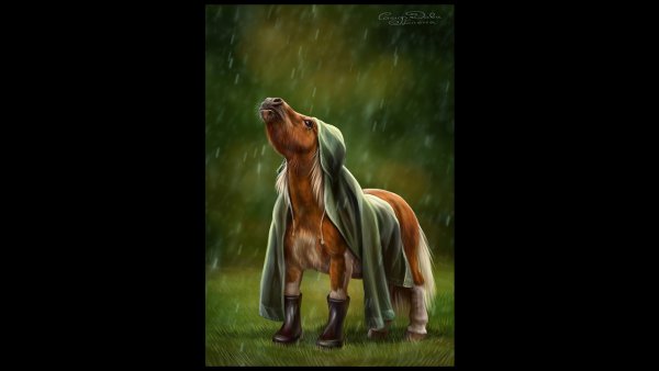 Лошадь под дождем арт