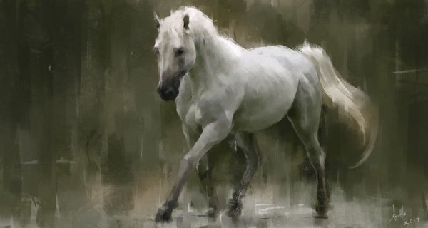 Лошадь под дождем