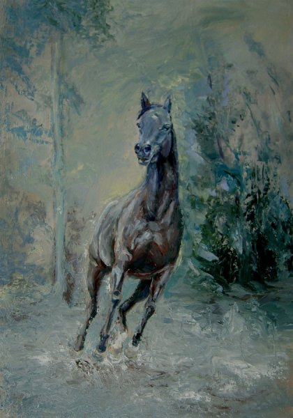 Лошадка под дождем