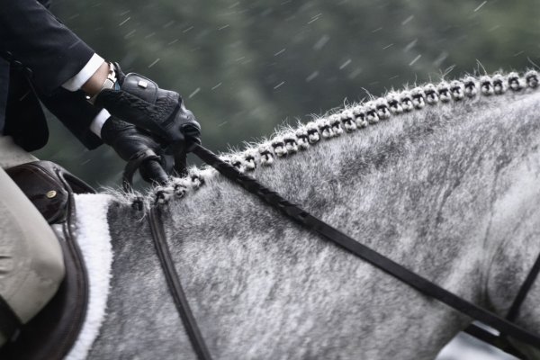 Верхом на лошади под дождем