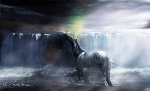 Лошадь под дождем