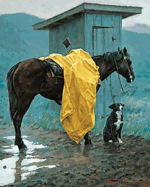 Лошадь под дождем