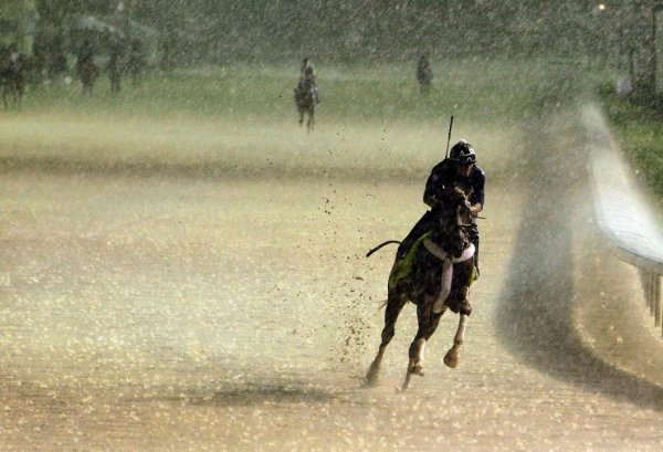 Лошадь и дождь