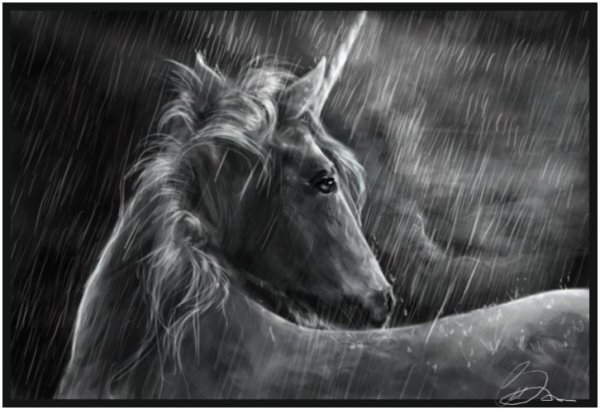 Грустный конь под дождем