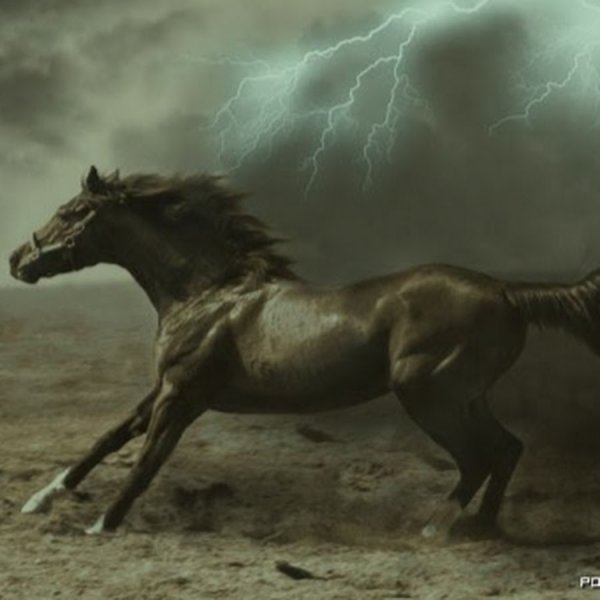 Конь молния