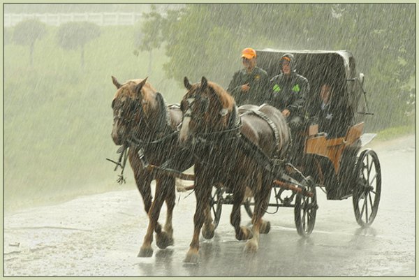 Повозка под дождем