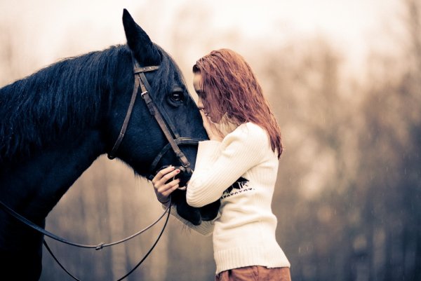 Грустная лошадь