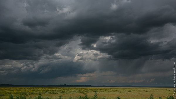 Сезон дождей в саванне