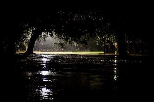 Дождливая ночь