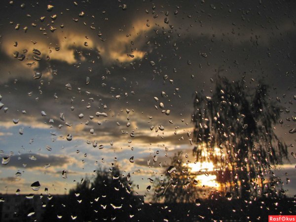 Ненастье дождь