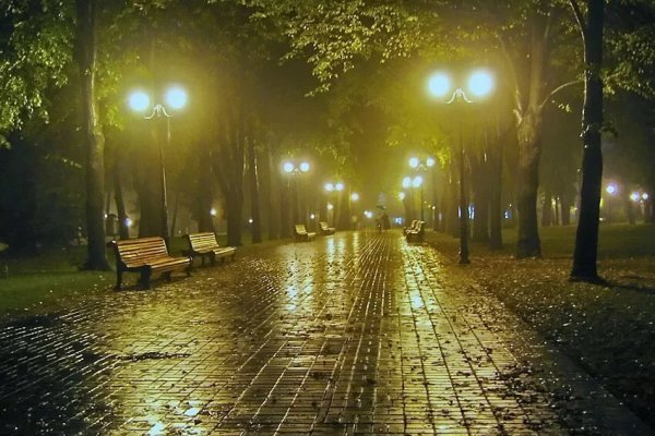 "Дождливый вечер"