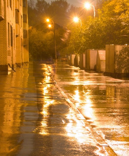 Дождливый летний вечер