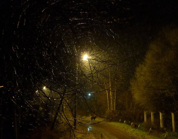 Дождь осенью ночью