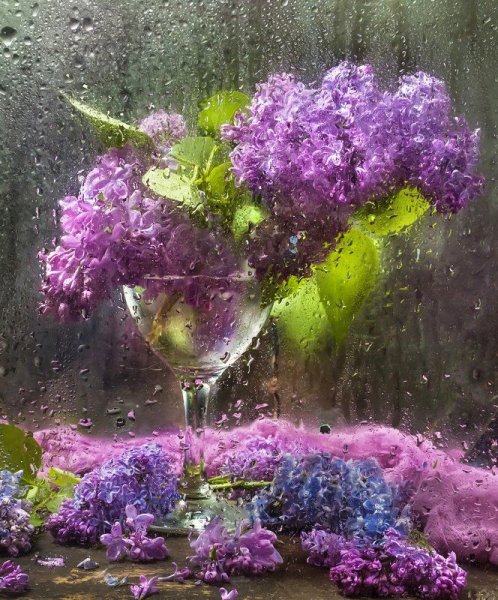 Сирень в бокале