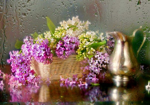 Утро Весна сирень