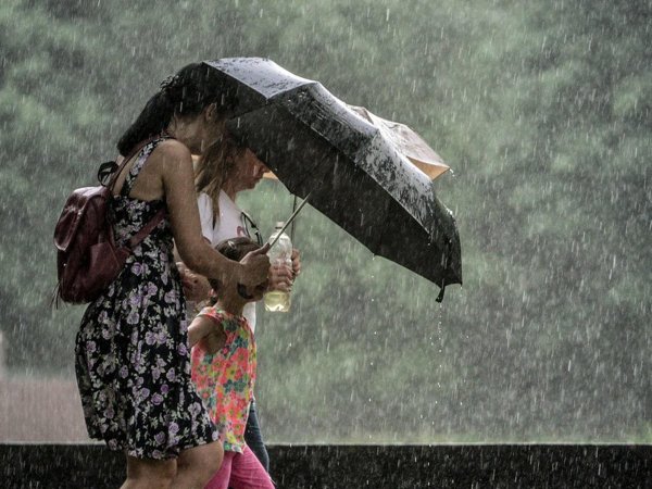 Ливень и путешественник