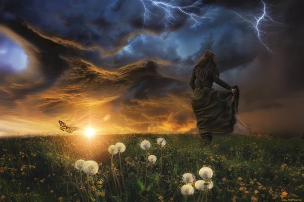 Ведьма в поле