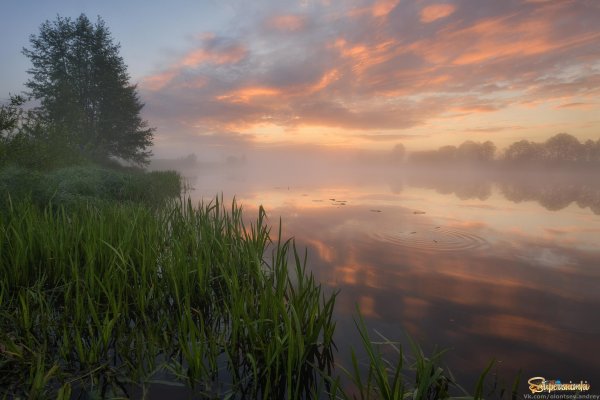 Весенний туманный рассвет