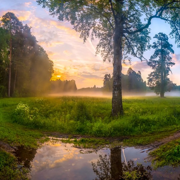 Природа после дождя Россия