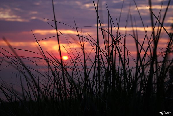 Дождь на рассвете