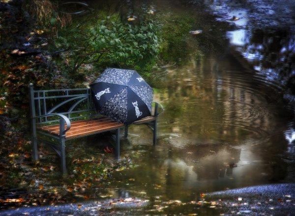 Скамейка под дождем