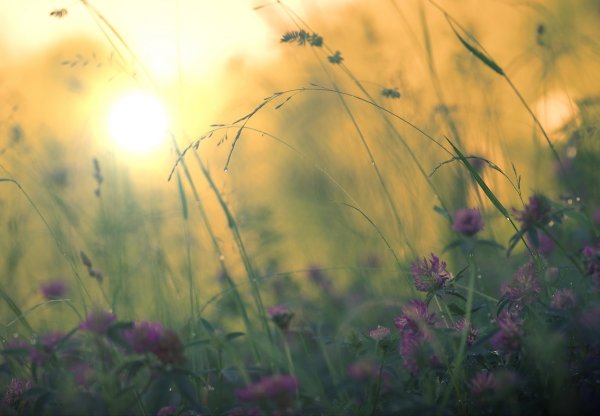 Рассвет после дождя