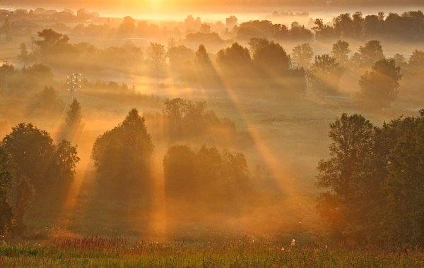 Дымка рассвет