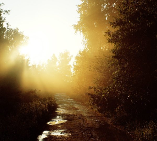 Рассвет после дождя