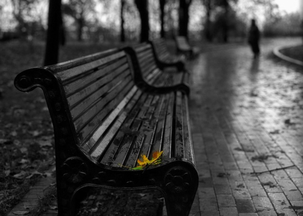 Скамейка черно белая