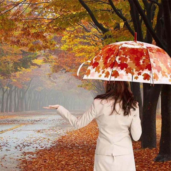 Осень зонтик