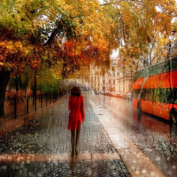 Осень город дождь