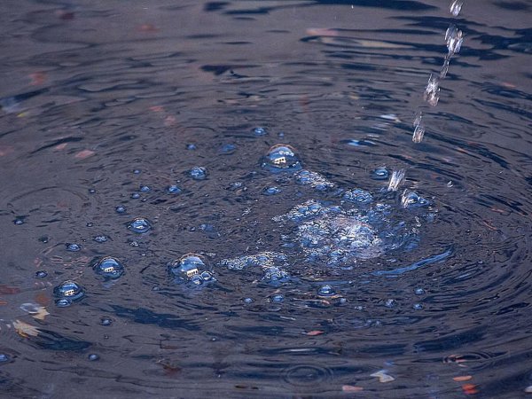 Вода Джевия