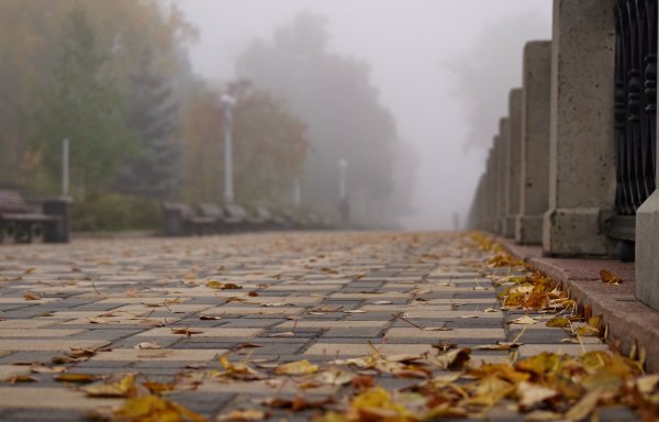 Пасмурная осень в городе