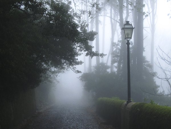 Утренний туман в городе