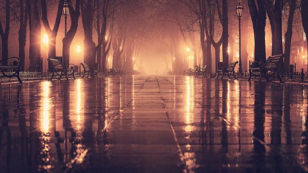 Ночной осенний город