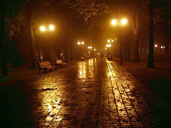 Дождливый ночной парк