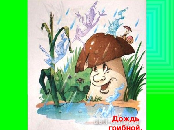Грибной дождик