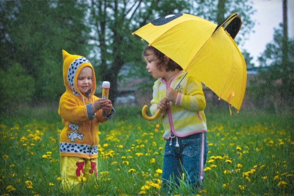 Летний грибной дождь