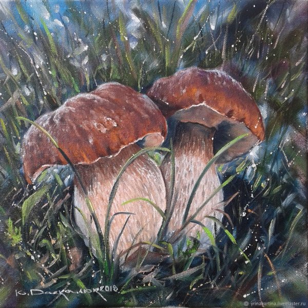 Грибы картина