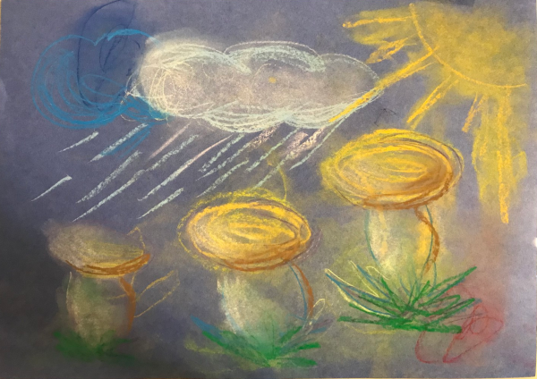 Рисование грибная Поляна подготовительная группа