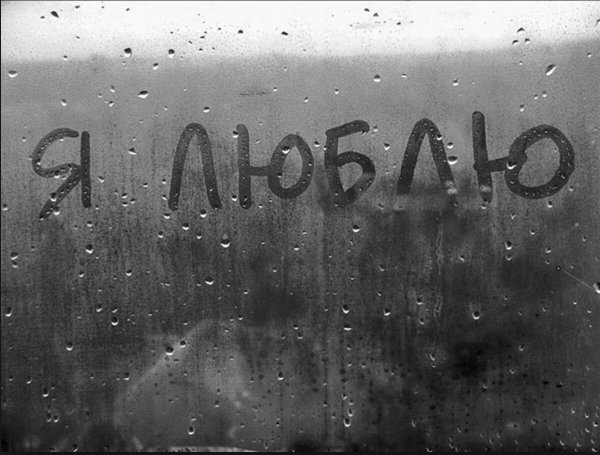 Я тебя не люблю