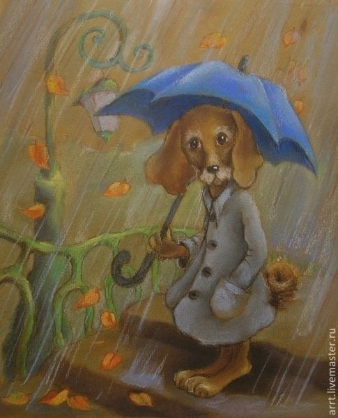 Осень собака под дождём