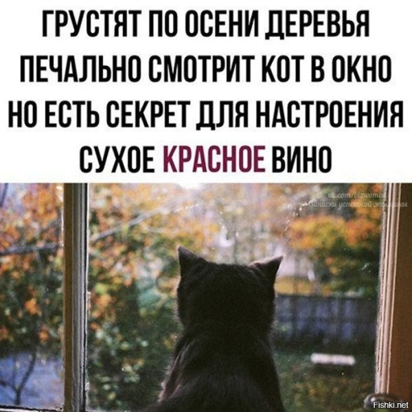 Настроение грустить