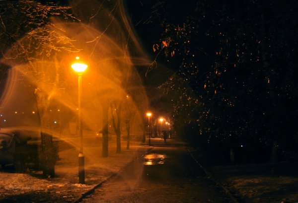 Парк ночью под дождем