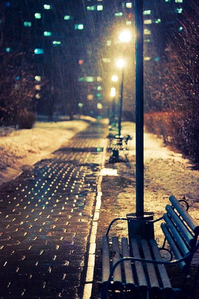 Ночной парк под дождем