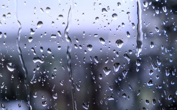Дождь за окном