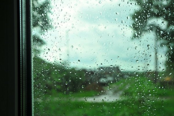Ливень из окна