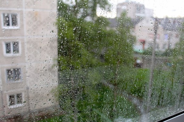 Окно ливень